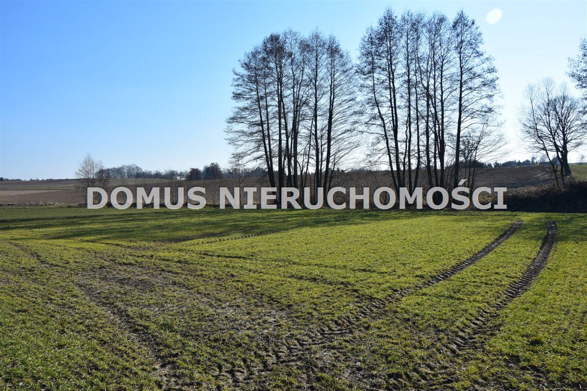 Działka rolna Mroga Górna