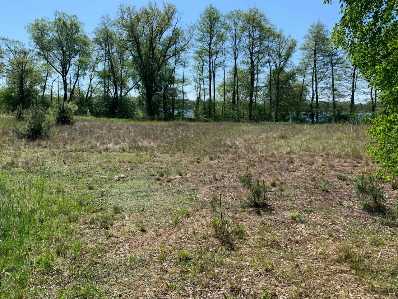 Działka rekreacyjna Lipnica. Zdjęcie 3