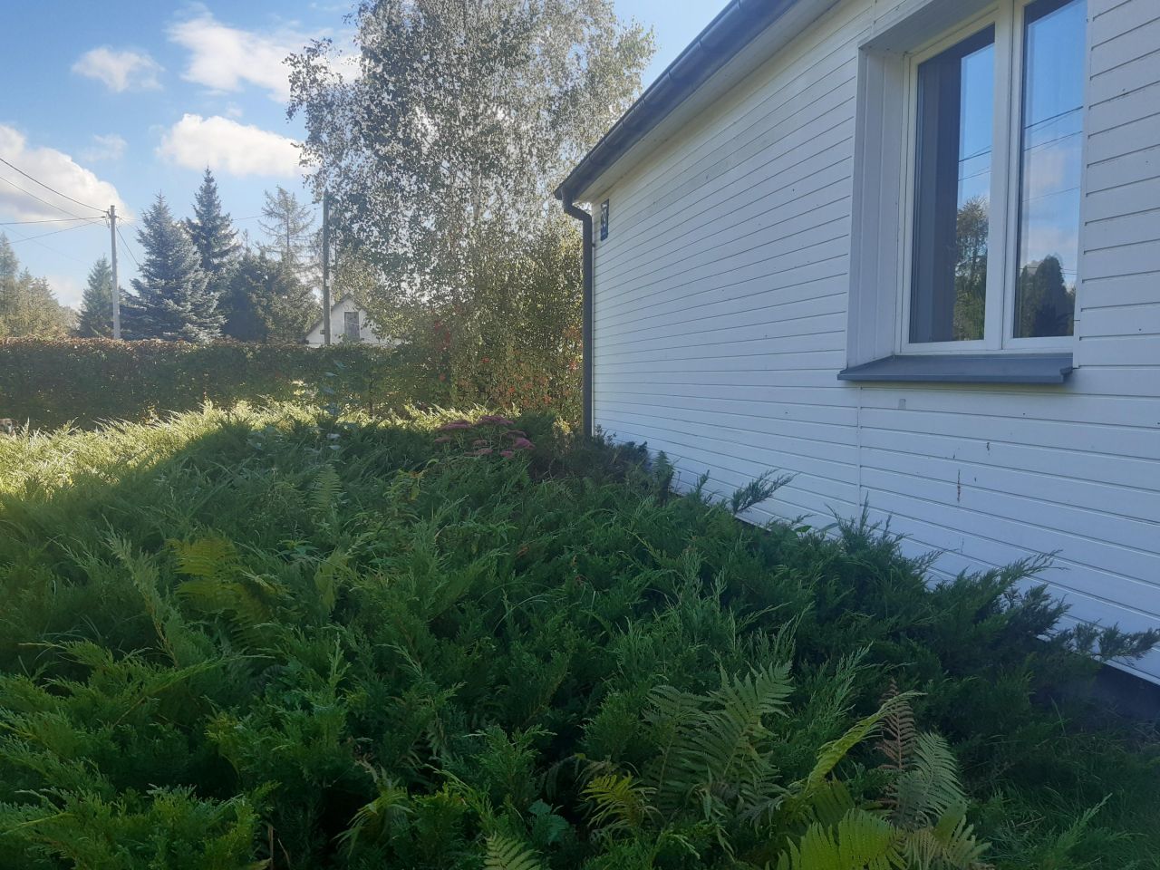 gospodarstwo, 3 pokoje Adampol, ul. Jana Pawła II. Zdjęcie 2