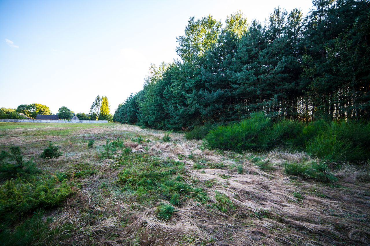 Działka budowlana Celiny. Zdjęcie 17