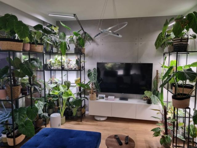 Mieszkanie 2-pokojowe Warszawa Mokotów, ul. Bokserska. Zdjęcie 1