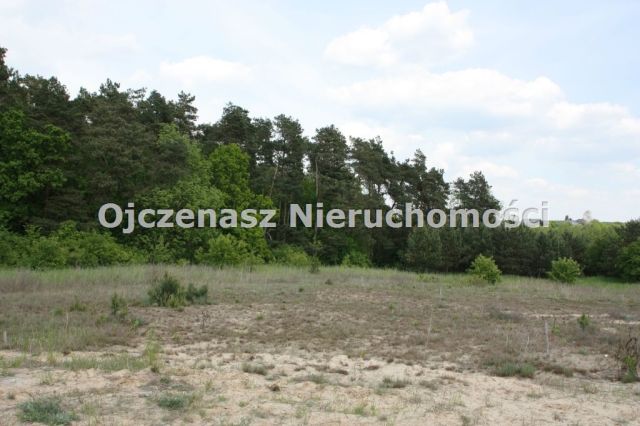 Działka budowlana Kruszyn. Zdjęcie 4