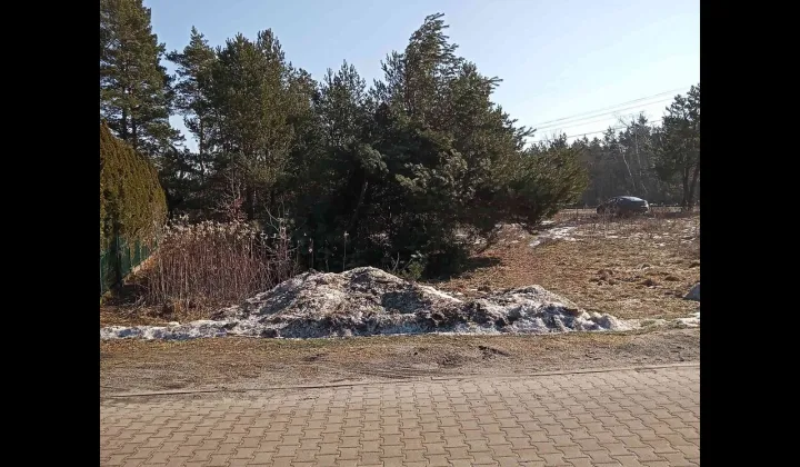 Działka budowlana Dąbrowa Chotomowska, ul. Lipowa