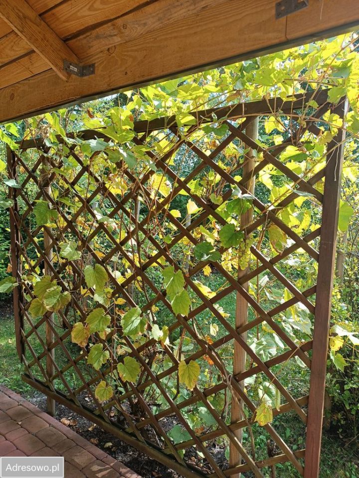 Działka rod Ostrowiec Świętokrzyski, ul. Las Rzeczki. Zdjęcie 7