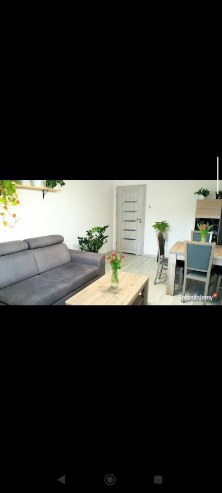 Mieszkanie 2-pokojowe Polkowice Polkowice Dolne, Żarska. Zdjęcie 8