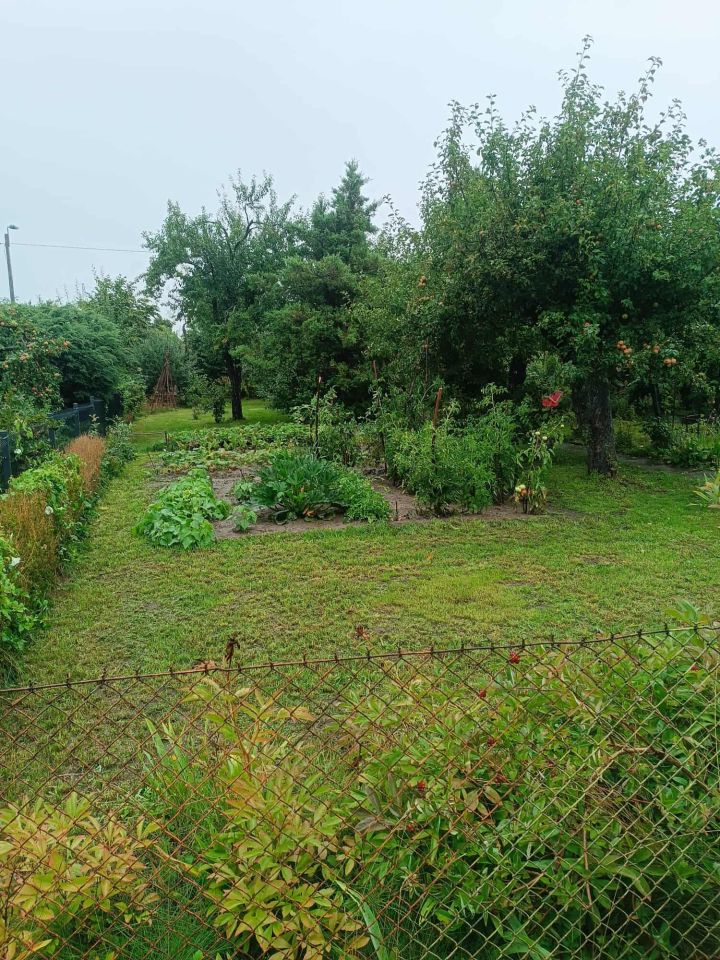 Działka rod Gdańsk Chełm, ul. Zamiejska. Zdjęcie 2