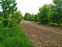 Działka rolna Bliżów Wojda. Zdjęcie 1