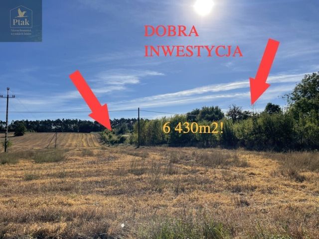 Działka budowlana Kruszyn. Zdjęcie 2