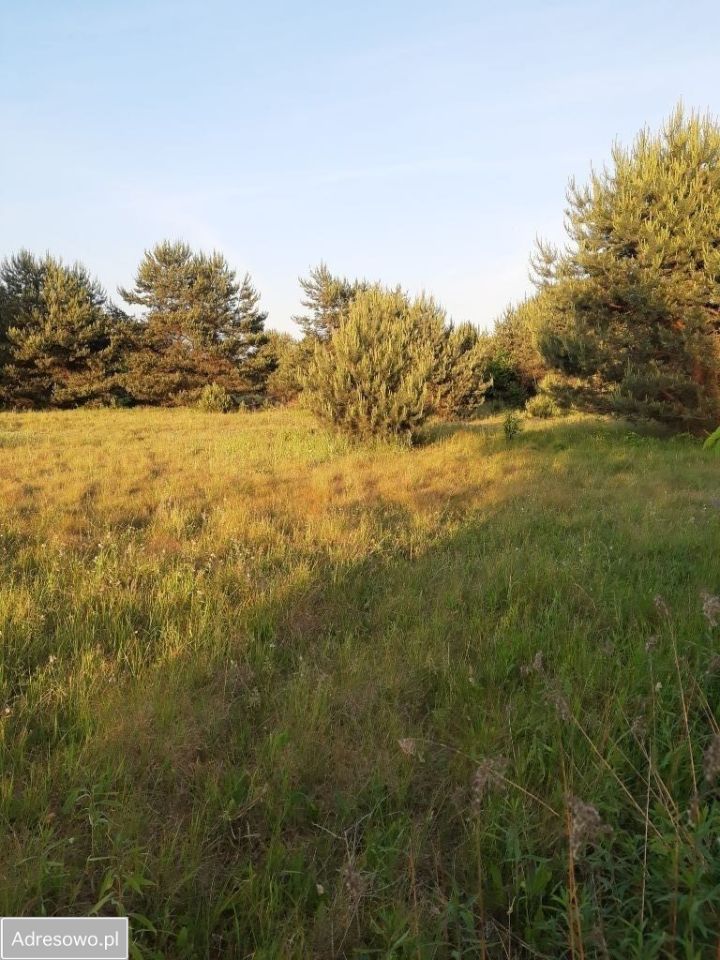 Działka budowlana Głogów Małopolski, ul. Gryczana . Zdjęcie 2