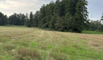 Działka rolno-budowlana Wólka Czarnogłowska
