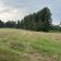 Działka rolno-budowlana Wólka Czarnogłowska. Zdjęcie 2