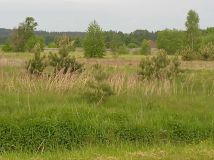 Działka budowlana Zarzeczany. Zdjęcie 1