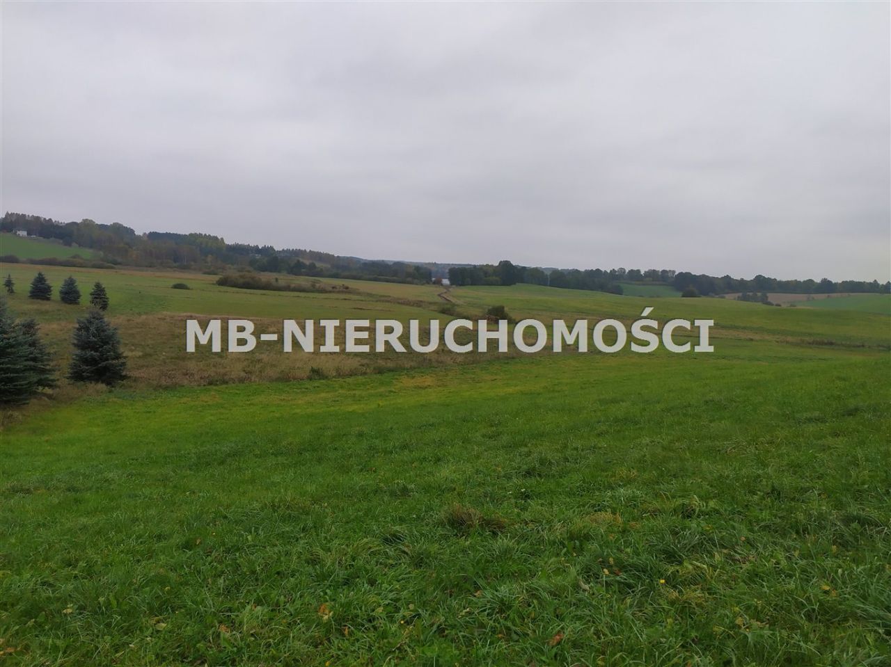 Działka rolna Sorkwity. Zdjęcie 7