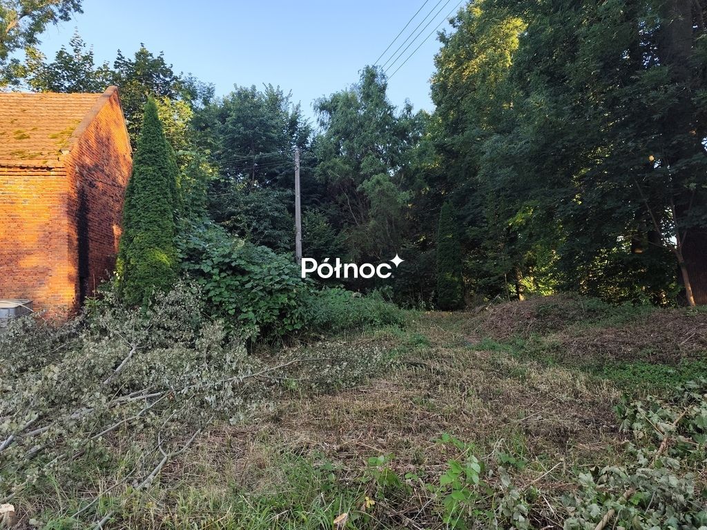 Działka budowlana Niwnica. Zdjęcie 4