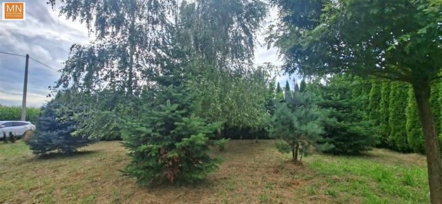 Działka rekreacyjna Morawica. Zdjęcie 8