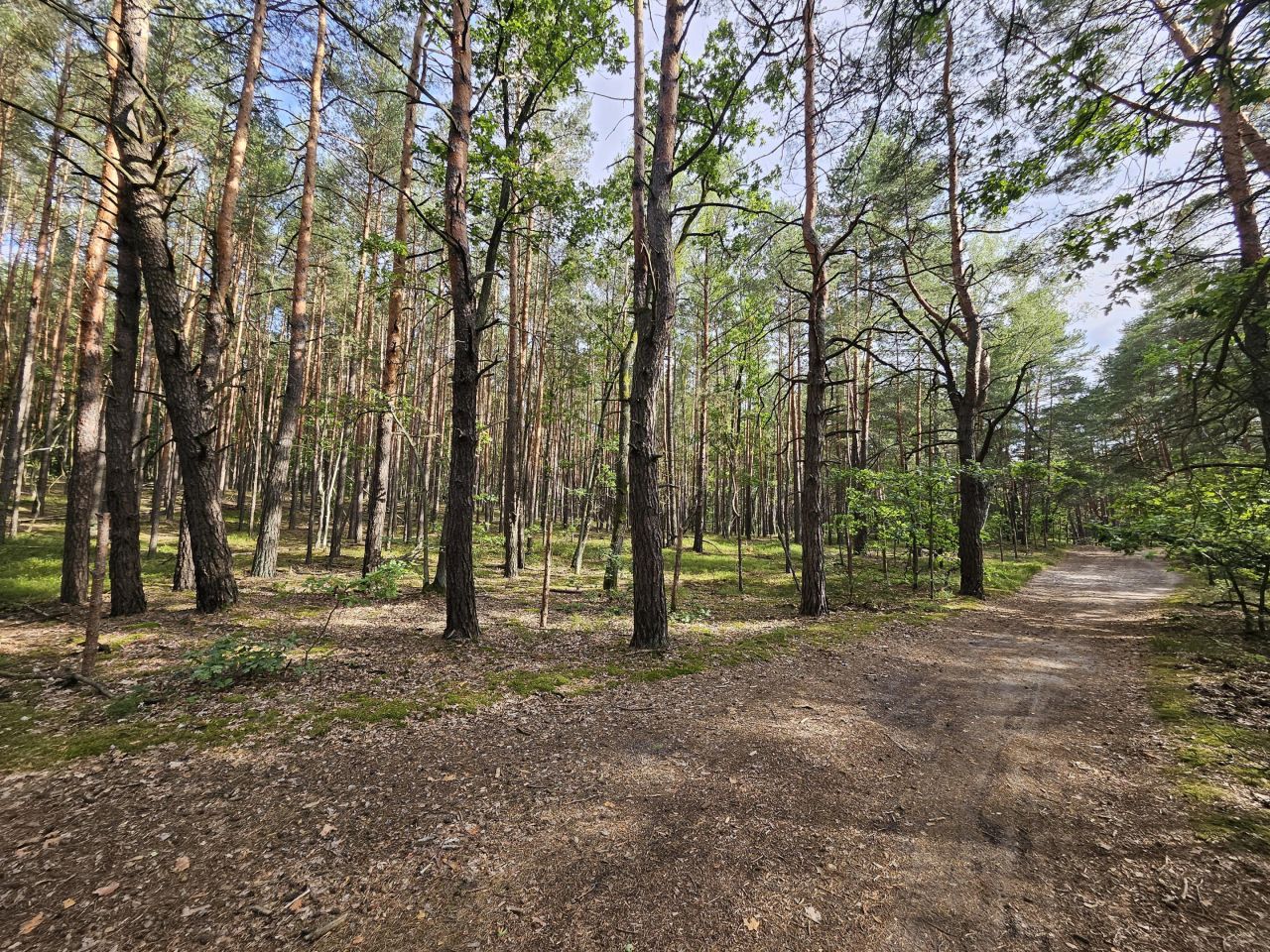Działka inwestycyjna Warszawa Wesoła, ul. Prabucka. Zdjęcie 3