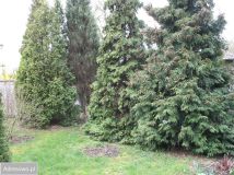 Działka budowlana Warszawa Wawer, ul. Mrówcza. Zdjęcie 3