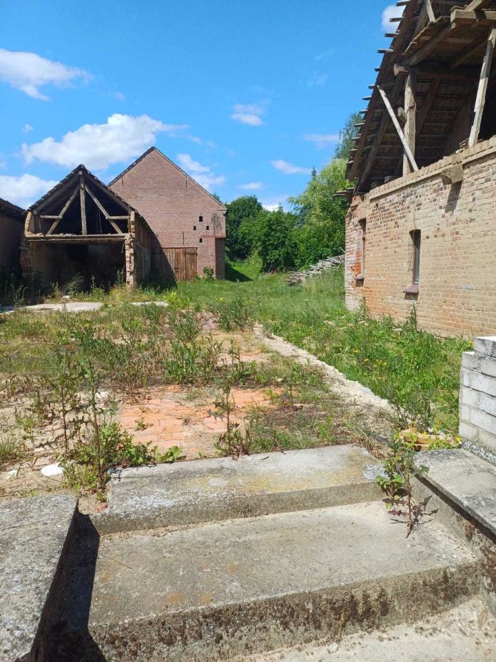 Działka budowlana Dzierżążno Wielkie. Zdjęcie 5