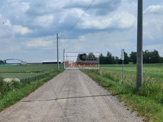 Działka rolna Brzozówka. Zdjęcie 4