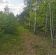 Działka Wodzierady. Zdjęcie 5