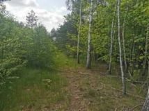 Działka Wodzierady. Zdjęcie 4