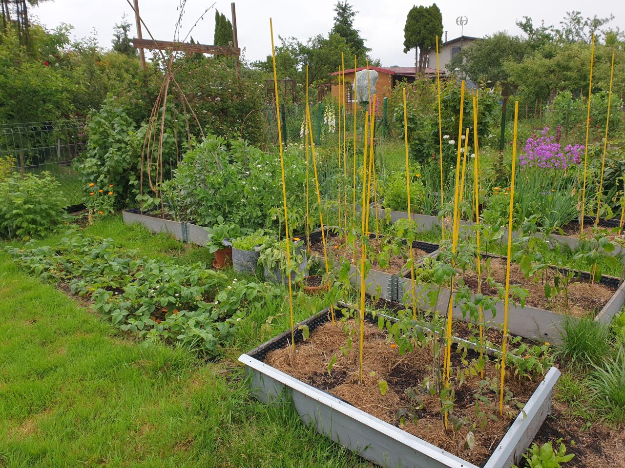 Działka rod Szczecin Śródmieście, ul. Marynarska. Zdjęcie 14