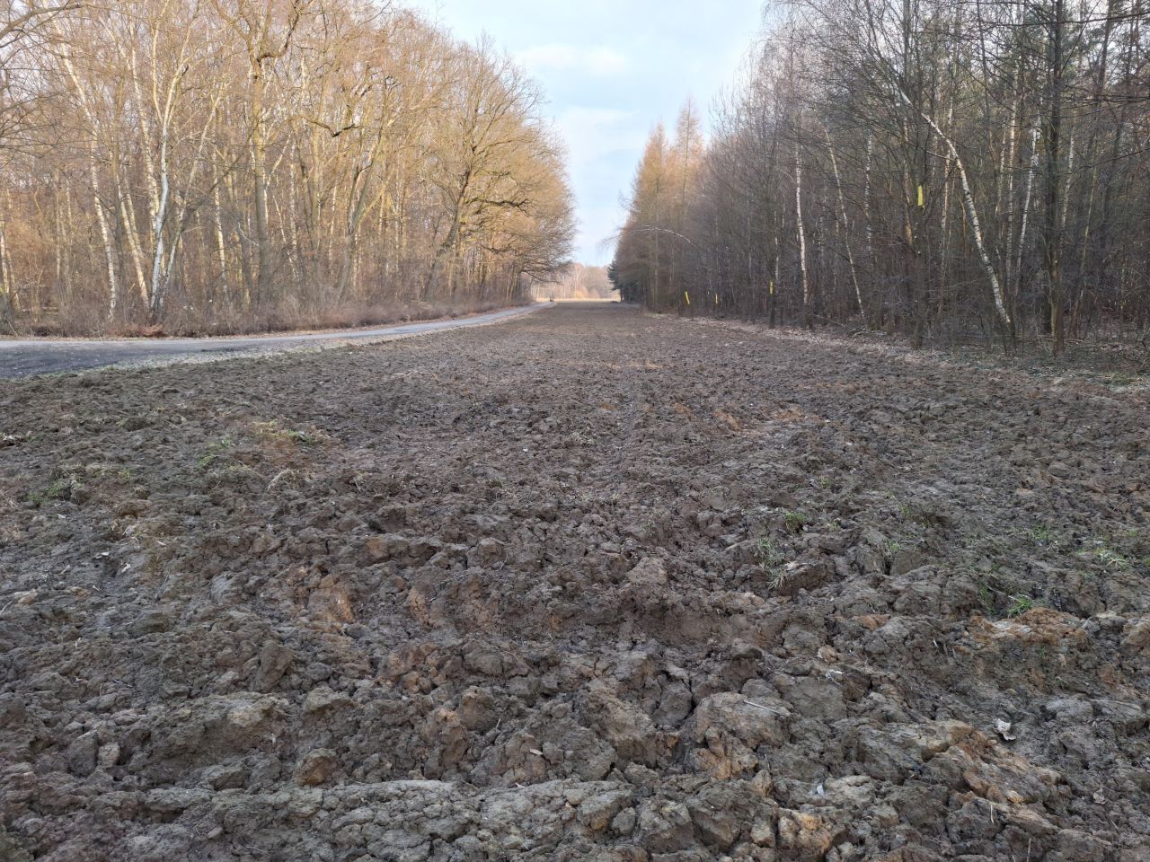 Działka rolno-budowlana Piotrowice, ul. Graniczna. Zdjęcie 14