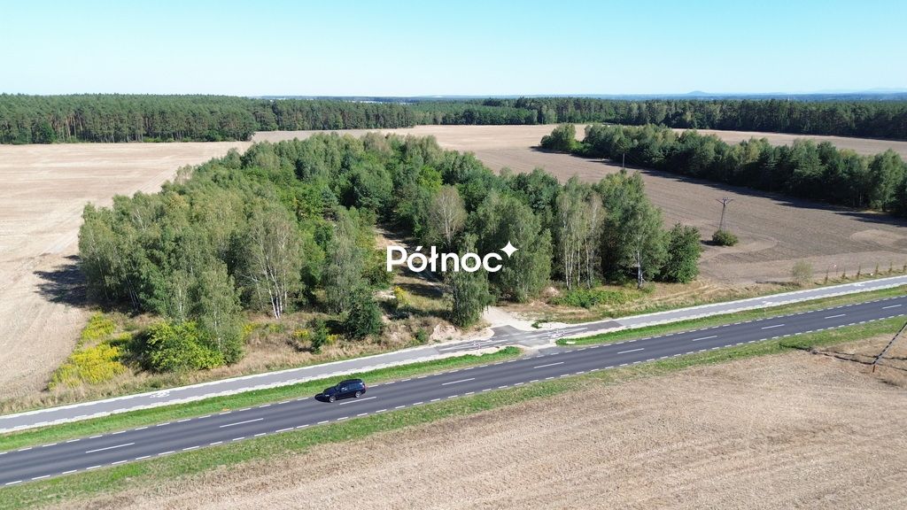Działka inwestycyjna Dąbrowa Bolesławiecka. Zdjęcie 8