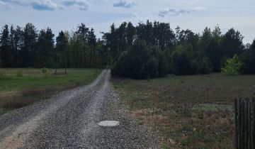 Działka rolna Dąbrowa Kozłowska