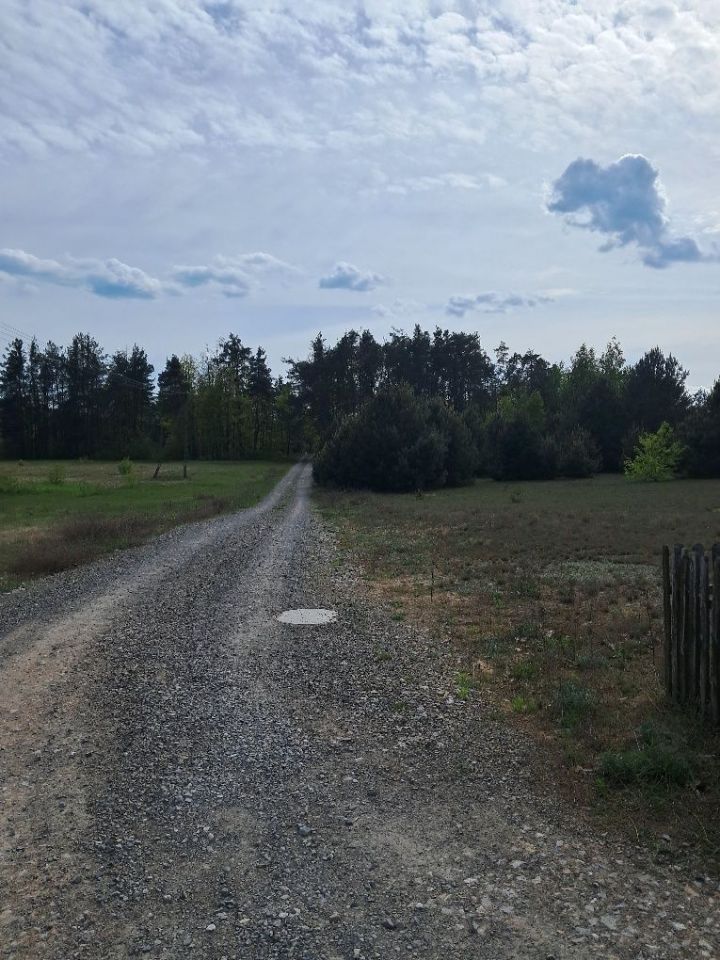 Działka rolna Dąbrowa Kozłowska. Zdjęcie 2