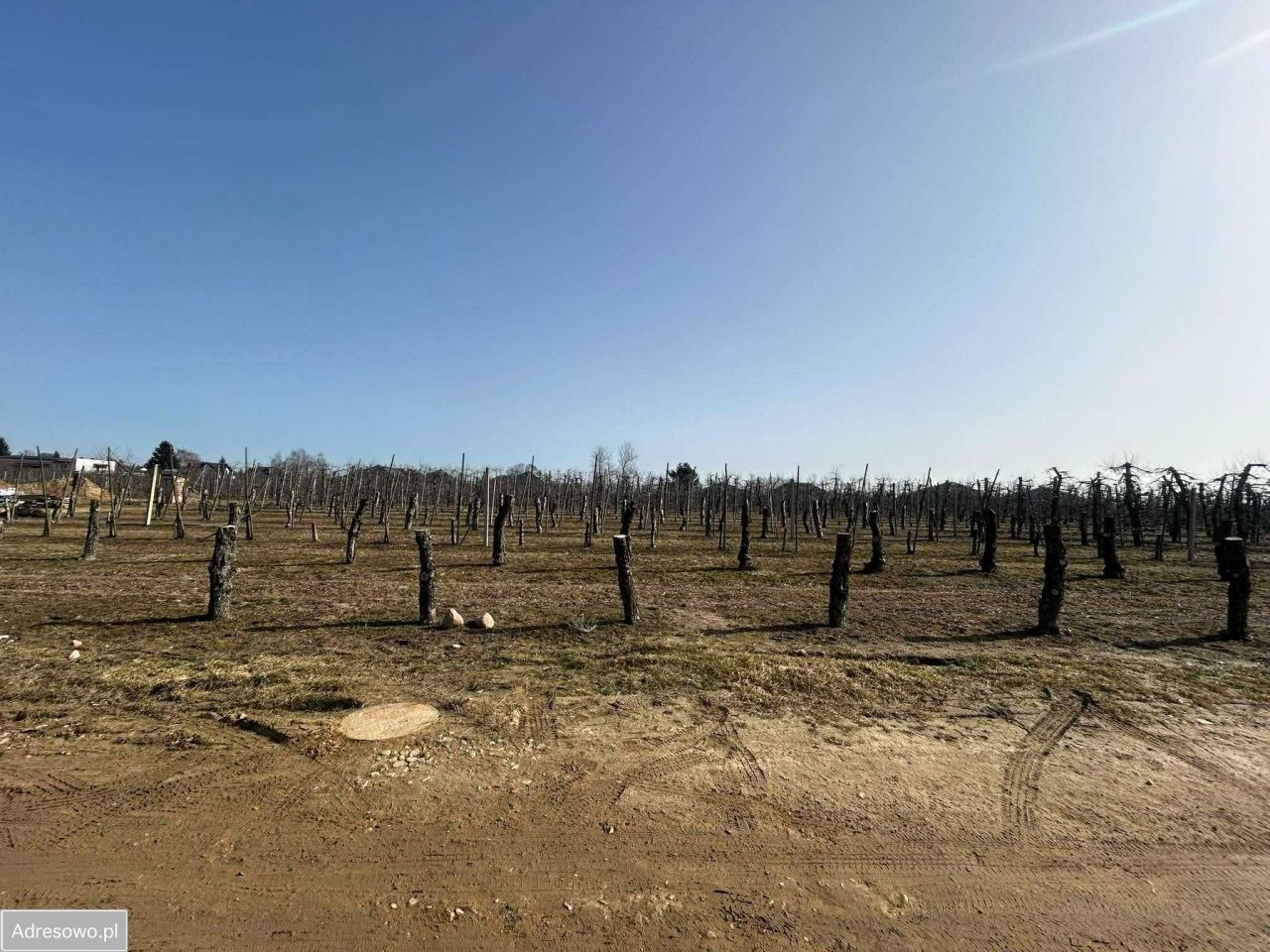 Działka budowlana Stok Lacki. Zdjęcie 7