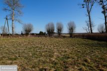 Działka budowlana Dębina. Zdjęcie 4