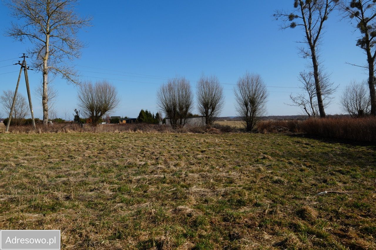 Działka budowlana Dębina. Zdjęcie 5