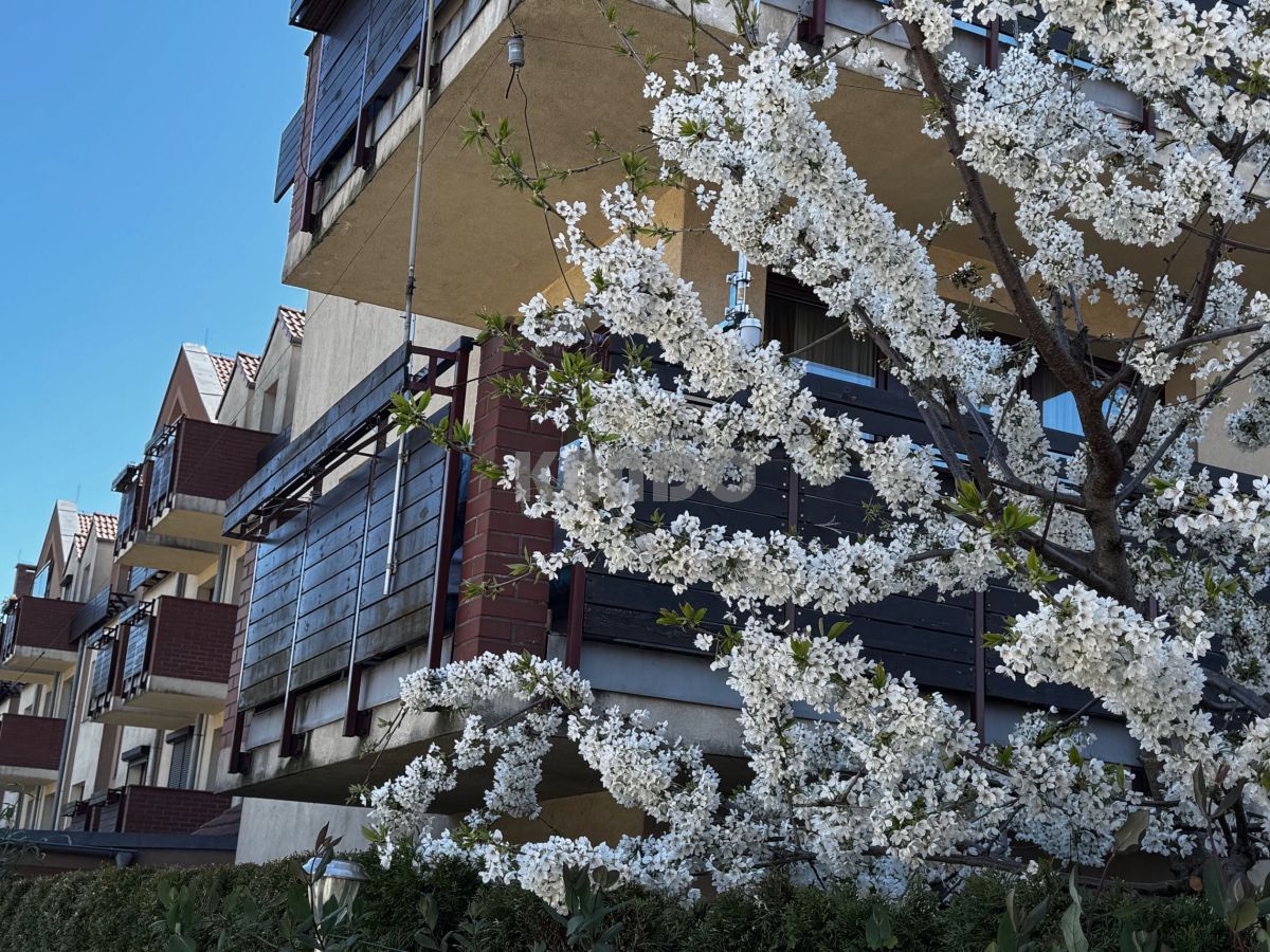 Mieszkanie 3-pokojowe Wrocław Krzyki, ul. Kawalerzystów. Zdjęcie 9