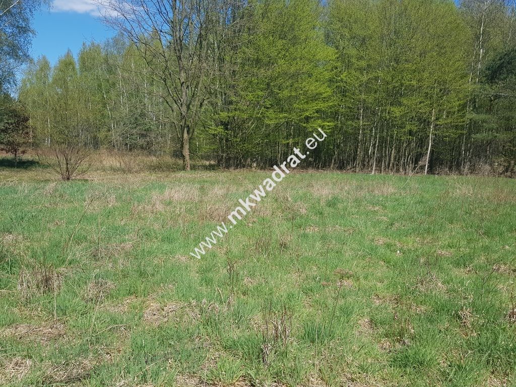 Działka budowlana Budy Mszczonowskie. Zdjęcie 6