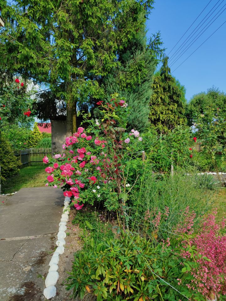 dom wolnostojący, 6 pokoi Gościeszowice. Zdjęcie 25