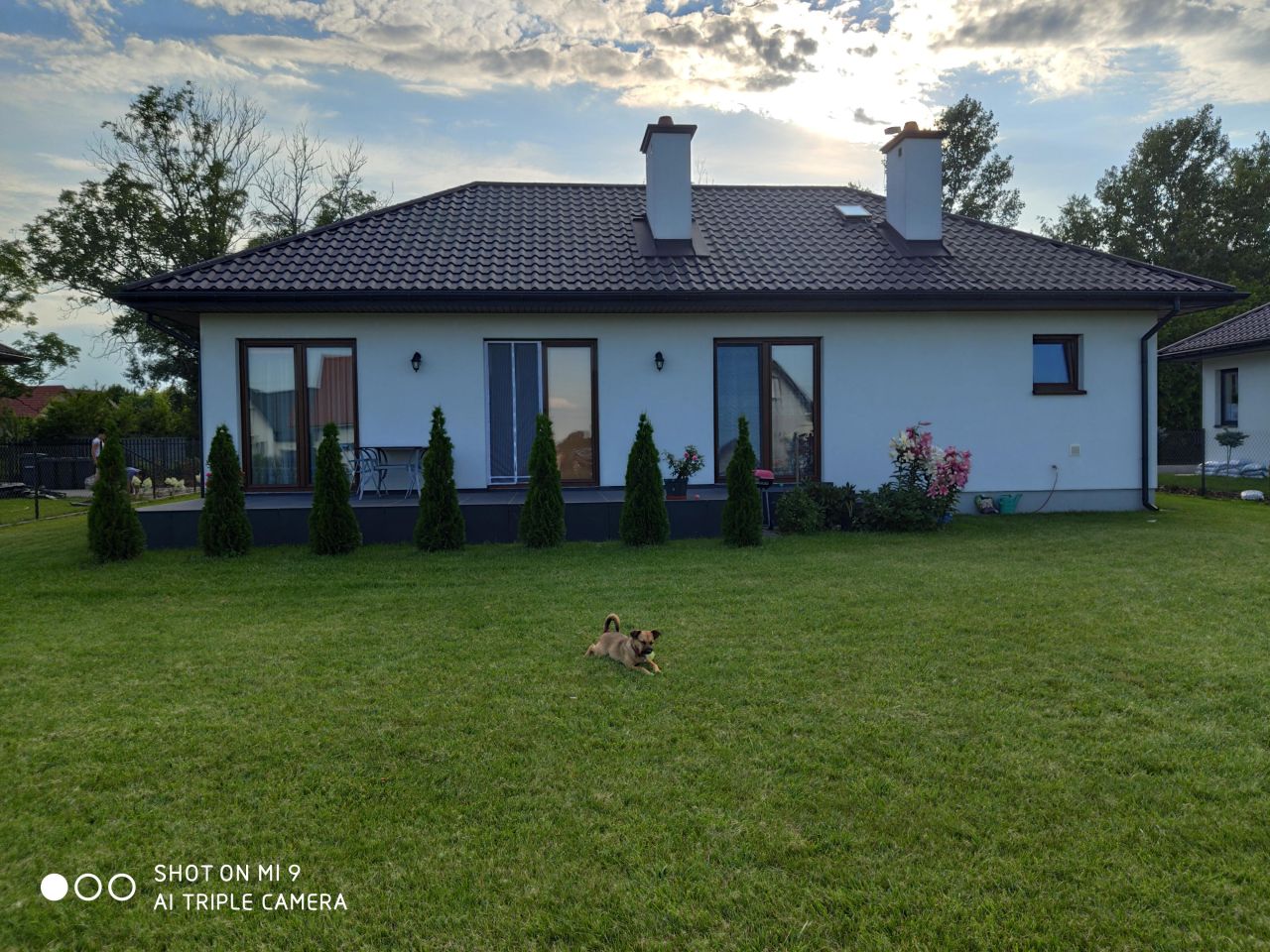 dom wolnostojący, 3 pokoje Seroki-Parcela, ul. Pałacowa. Zdjęcie 2