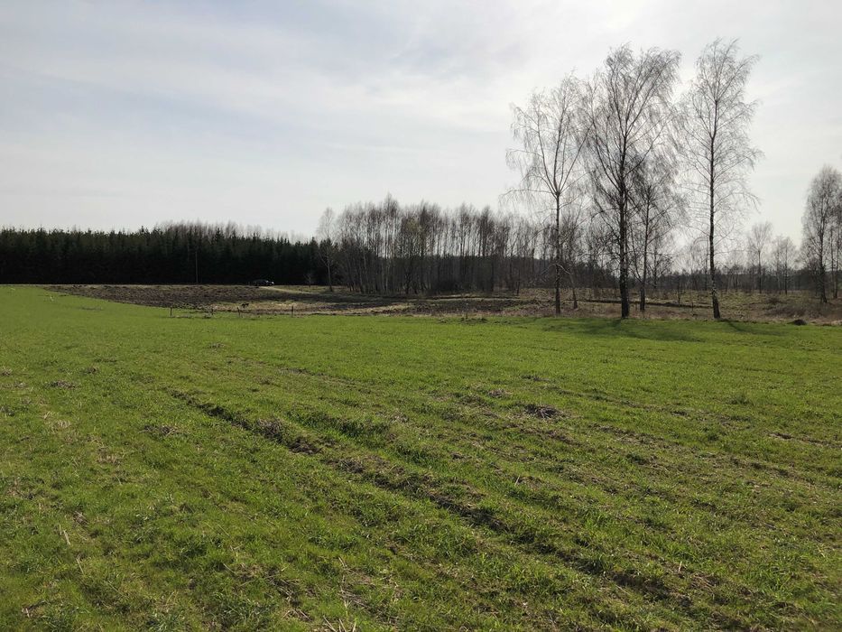 Działka rekreacyjna Szymonówko. Zdjęcie 3