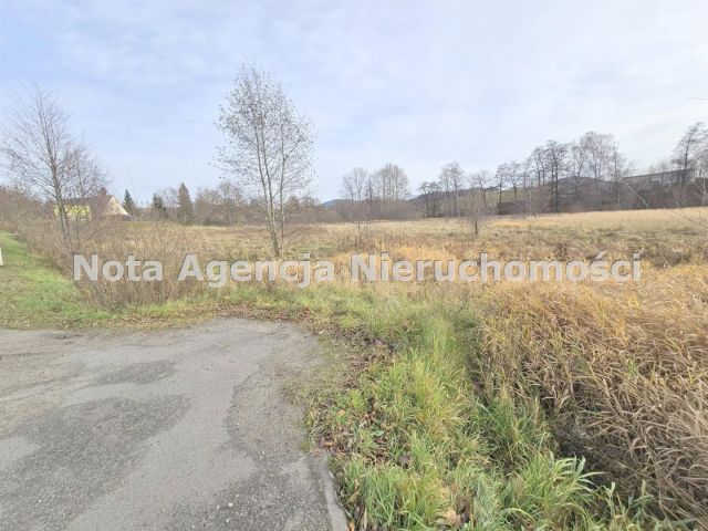 Działka inwestycyjna Jabłów. Zdjęcie 6