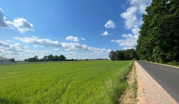 Działka rolna Zbuczyn, ul. Północna