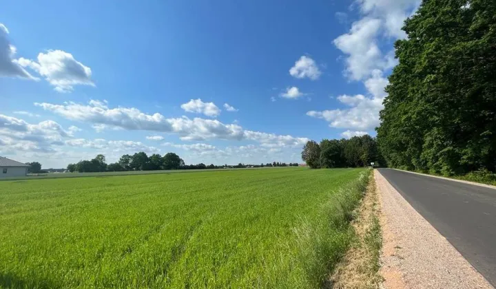 Działka rolna Zbuczyn, ul. Północna