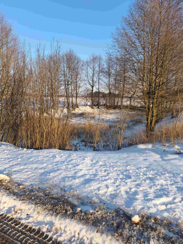 Działka rolna Żelechlin. Zdjęcie 3