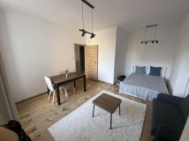 Mieszkanie 1-pokojowe Poznań Centrum, ul. Franciszka Ratajczaka. Zdjęcie 3