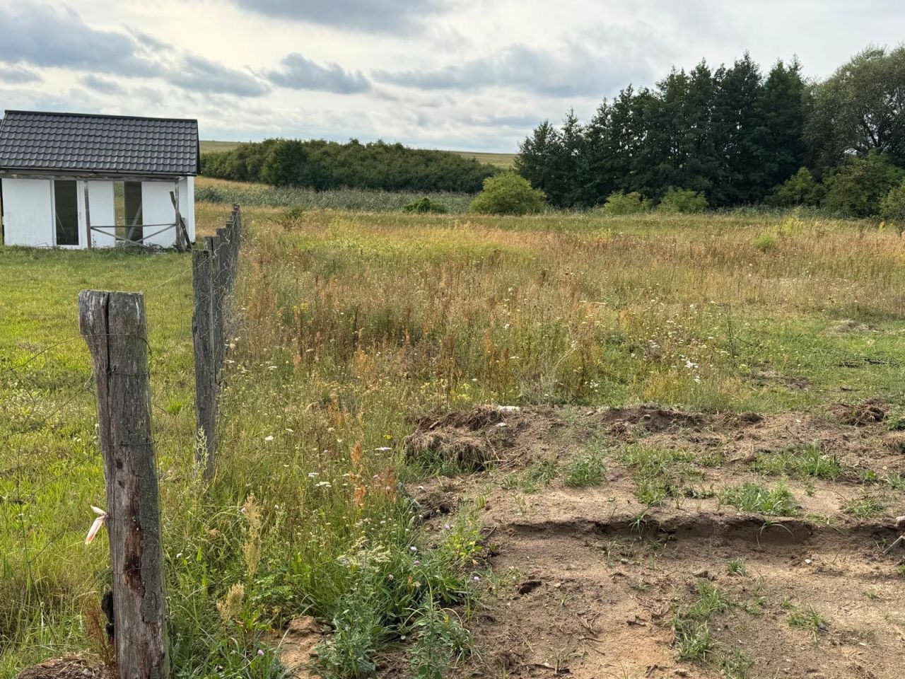 Działka budowlana Brzezie k. Sulechowa, ul. Jana Brzechwy. Zdjęcie 3