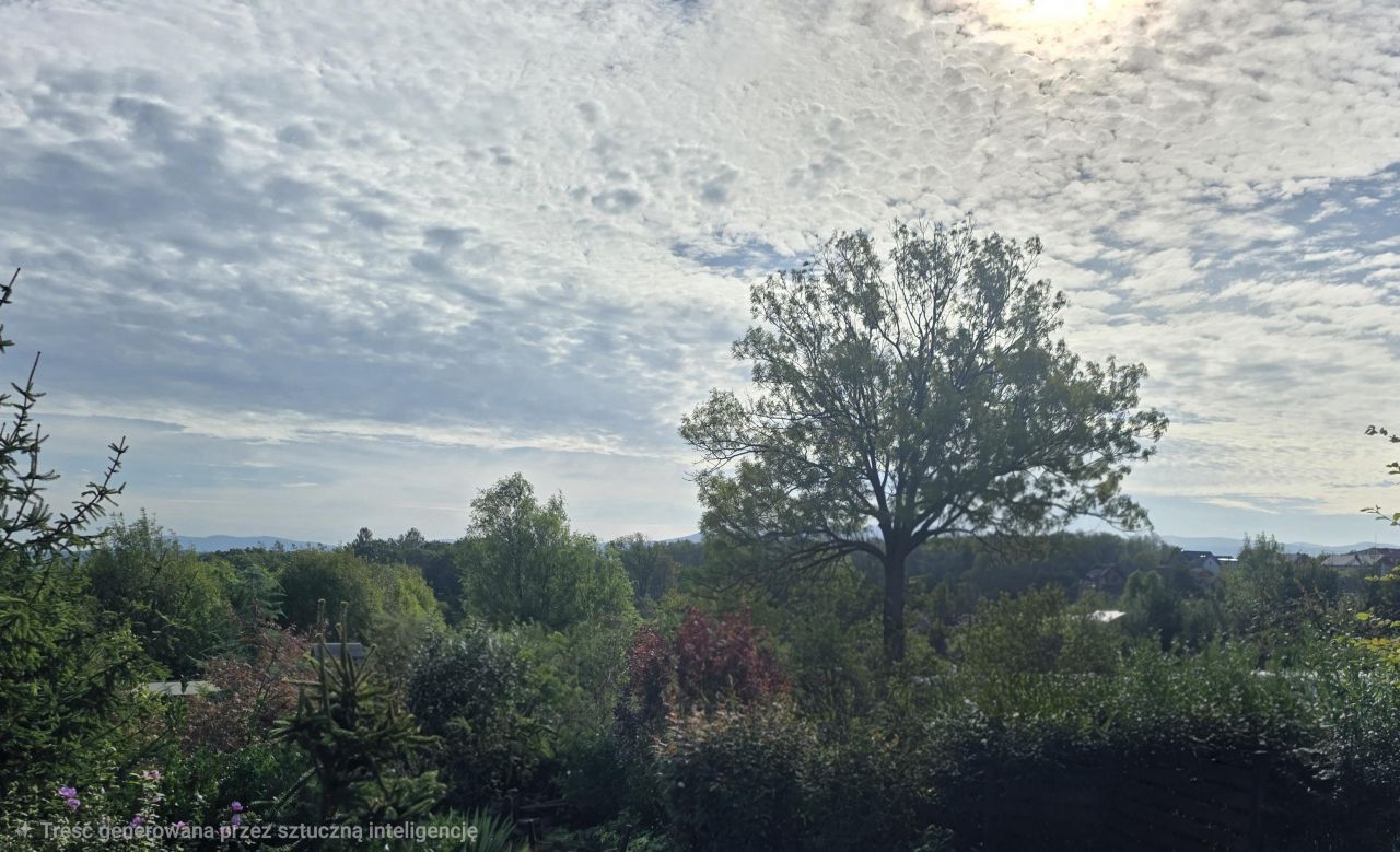 Działka rolno-budowlana Wiślica, .. Zdjęcie 4