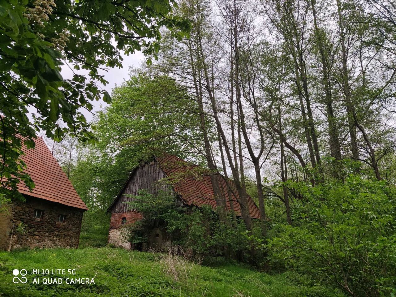 Działka budowlana Świeradów-Zdrój