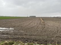 Działka rolno-budowlana Sieroszewice. Zdjęcie 3