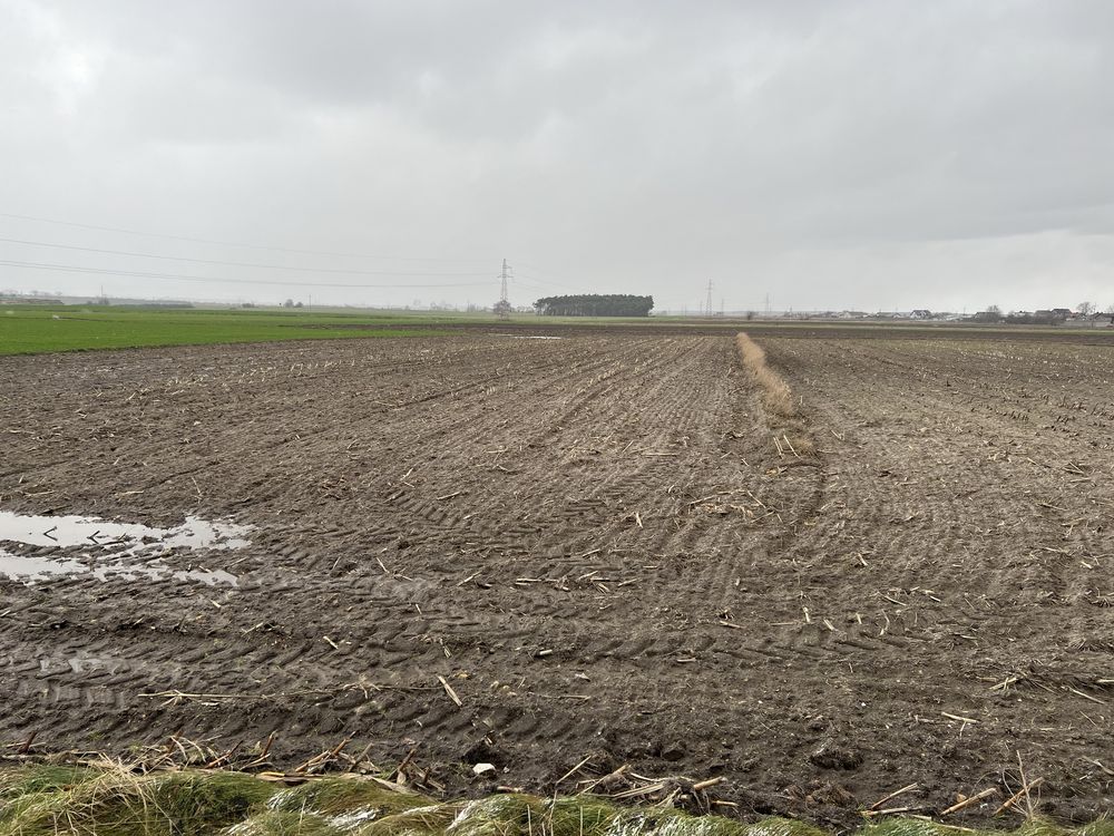 Działka rolno-budowlana Sieroszewice. Zdjęcie 4