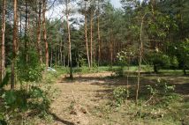 Działka rekreacyjna Czerwona Wola Myszkówka. Zdjęcie 1