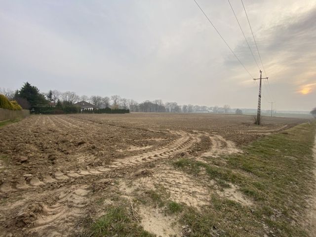 Działka budowlana Orchowo. Zdjęcie 1